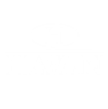 Havan